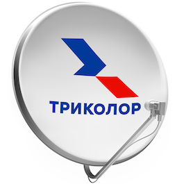 Триколор Тайцы